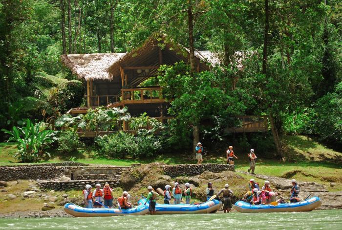 Ecolodge dans la jungle